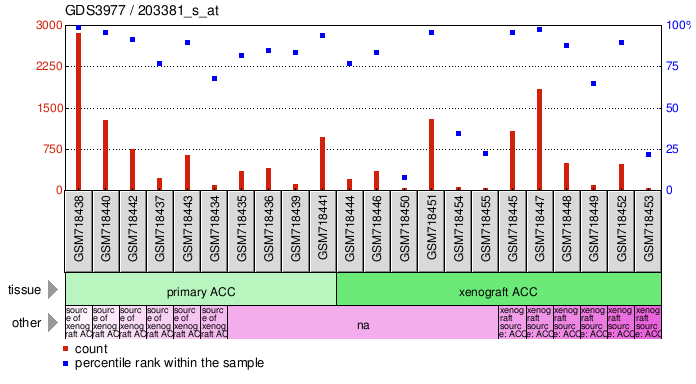 Gene Expression Profile