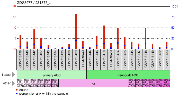 Gene Expression Profile