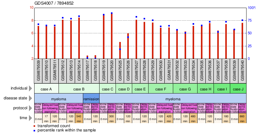 Gene Expression Profile