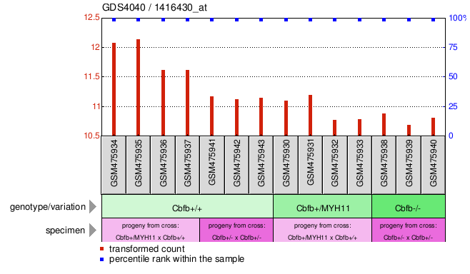 Gene Expression Profile