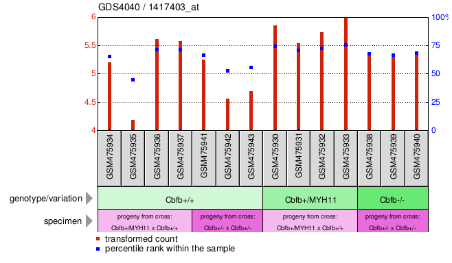 Gene Expression Profile