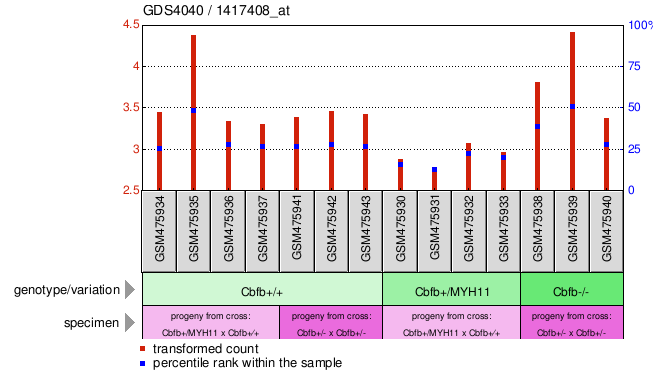 Gene Expression Profile