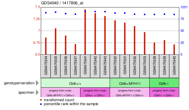 Gene Expression Profile