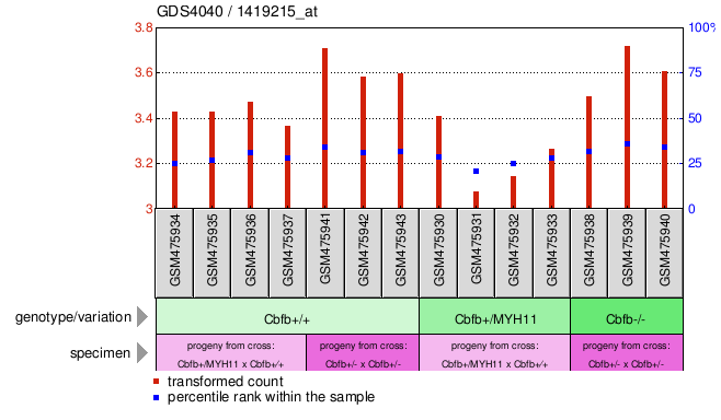 Gene Expression Profile