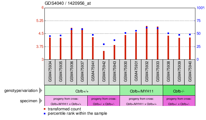 Gene Expression Profile