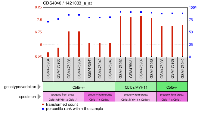 Gene Expression Profile