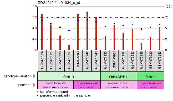 Gene Expression Profile