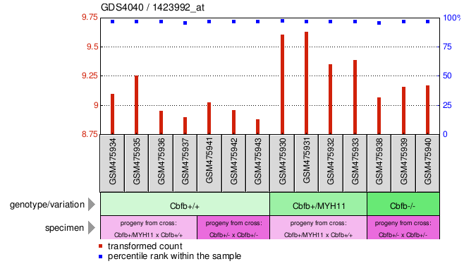 Gene Expression Profile