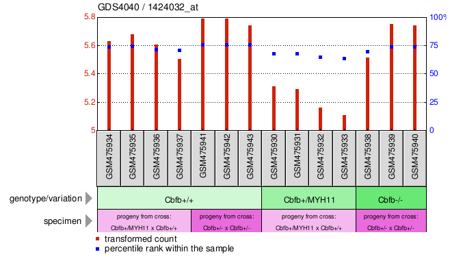 Gene Expression Profile