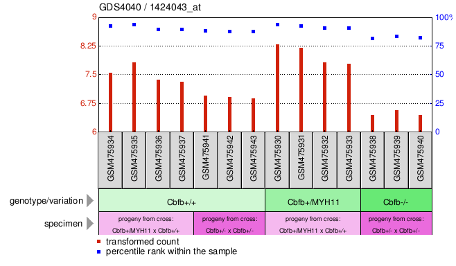 Gene Expression Profile