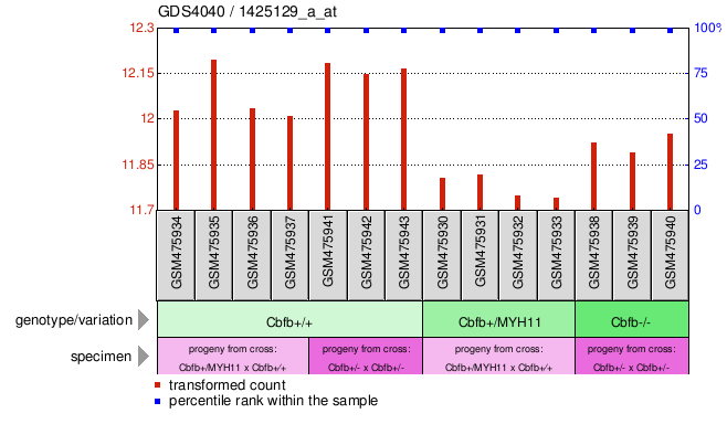 Gene Expression Profile