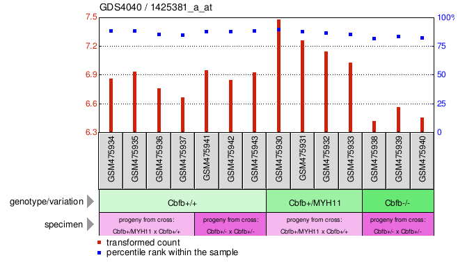 Gene Expression Profile