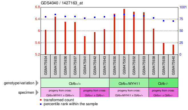 Gene Expression Profile