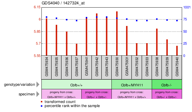 Gene Expression Profile