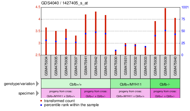 Gene Expression Profile