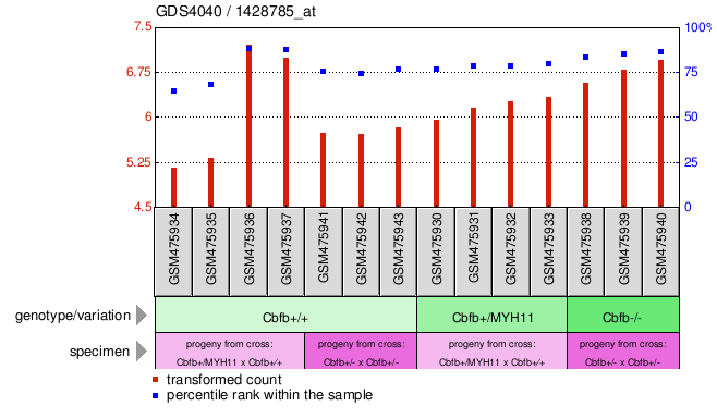 Gene Expression Profile