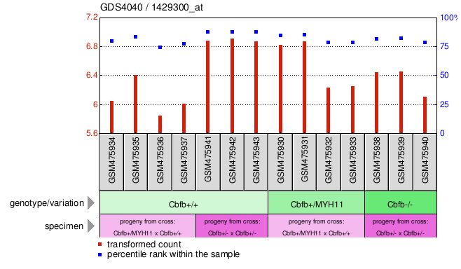 Gene Expression Profile