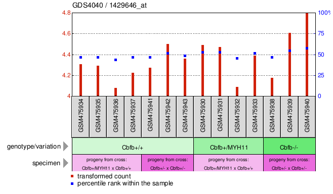 Gene Expression Profile