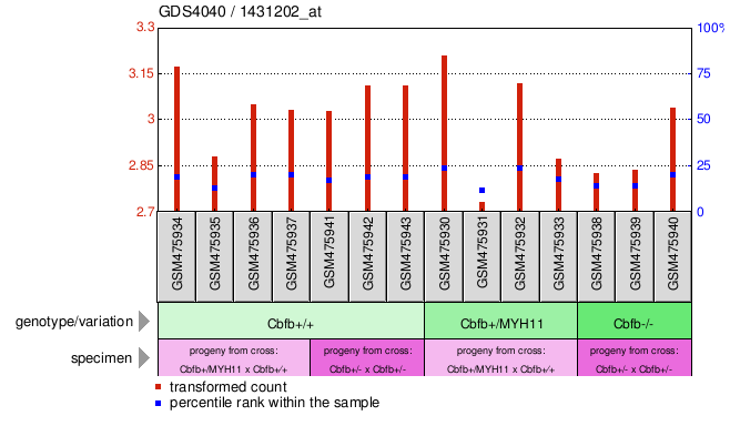 Gene Expression Profile