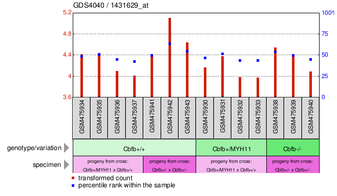 Gene Expression Profile