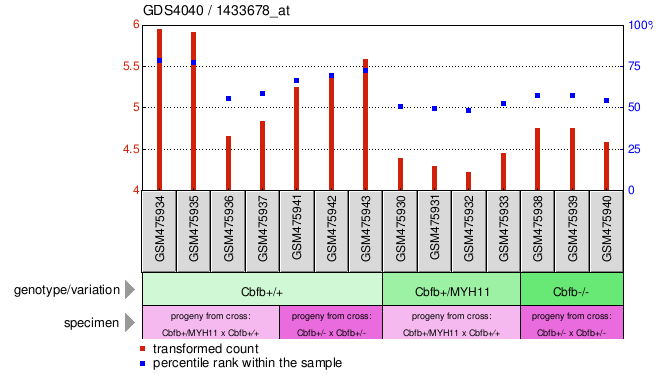 Gene Expression Profile