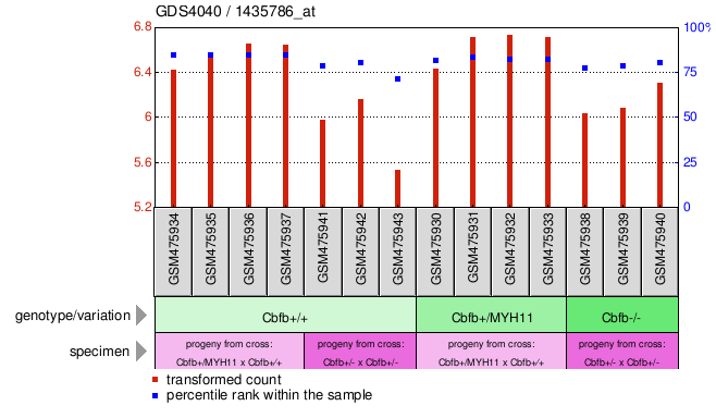 Gene Expression Profile