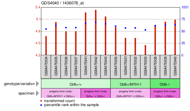 Gene Expression Profile