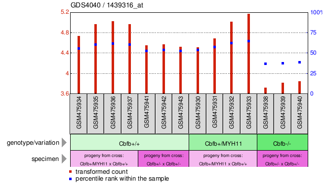 Gene Expression Profile