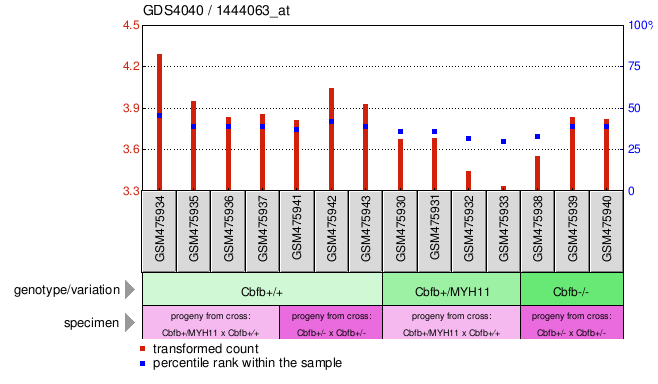 Gene Expression Profile