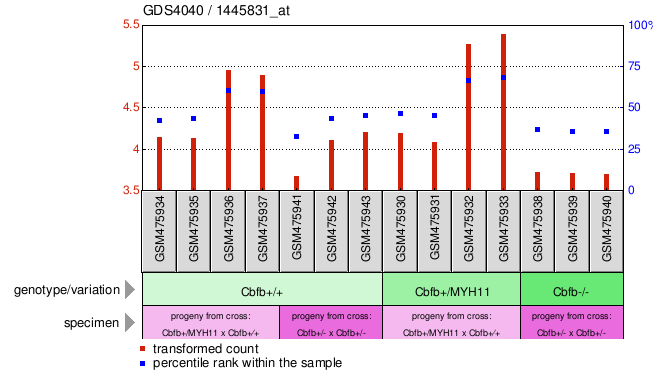 Gene Expression Profile