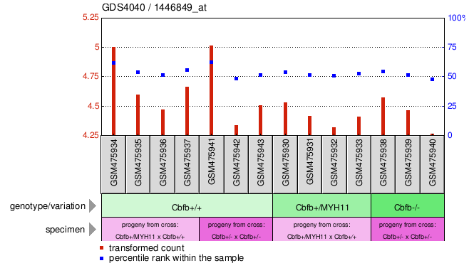 Gene Expression Profile