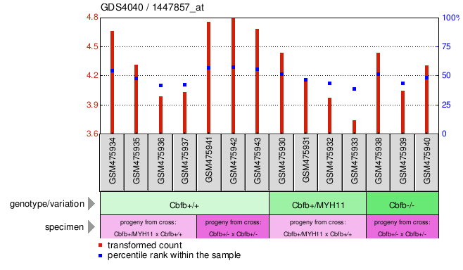 Gene Expression Profile