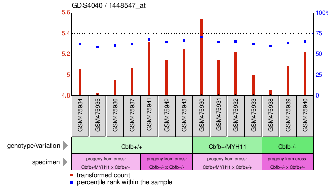 Gene Expression Profile