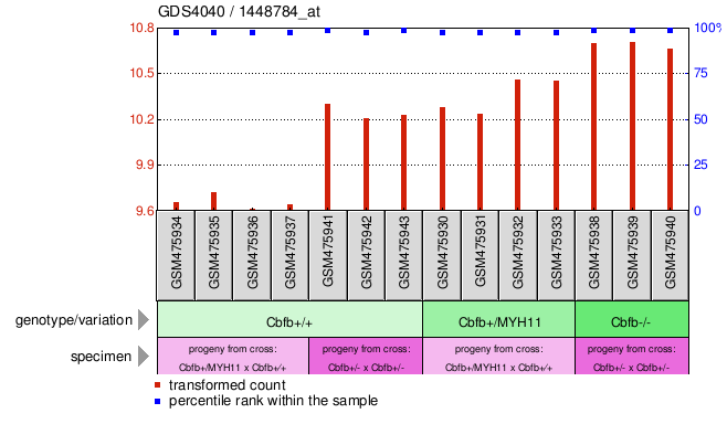 Gene Expression Profile