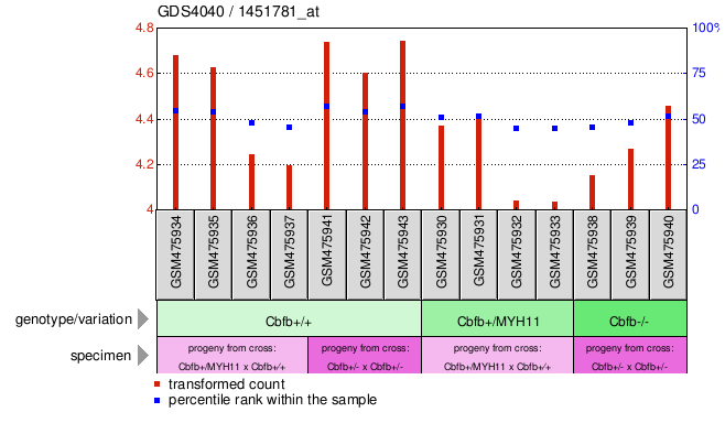 Gene Expression Profile