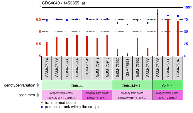 Gene Expression Profile