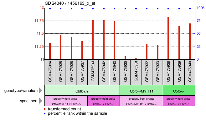 Gene Expression Profile