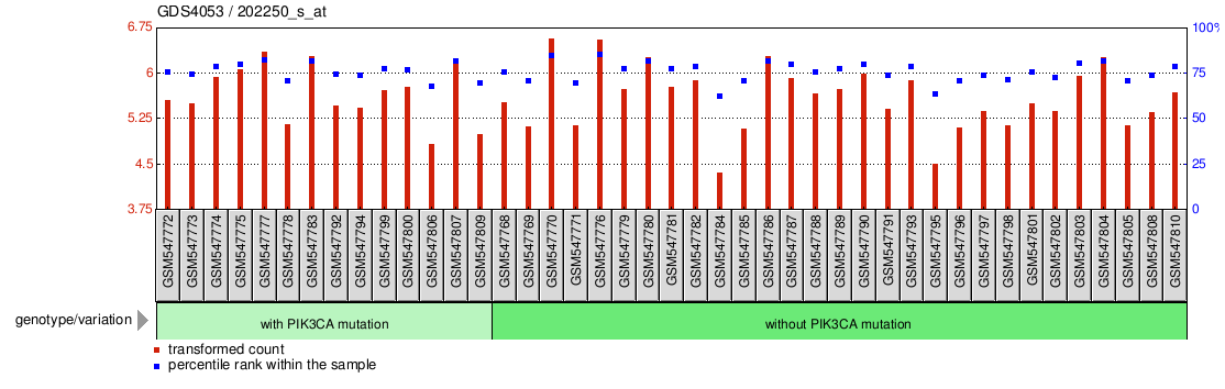 Gene Expression Profile