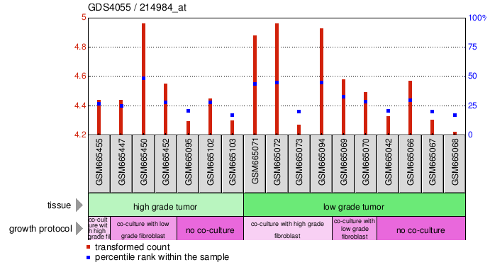 Gene Expression Profile