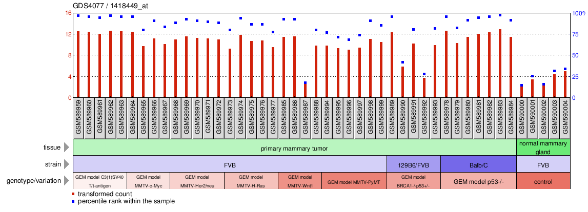 Gene Expression Profile