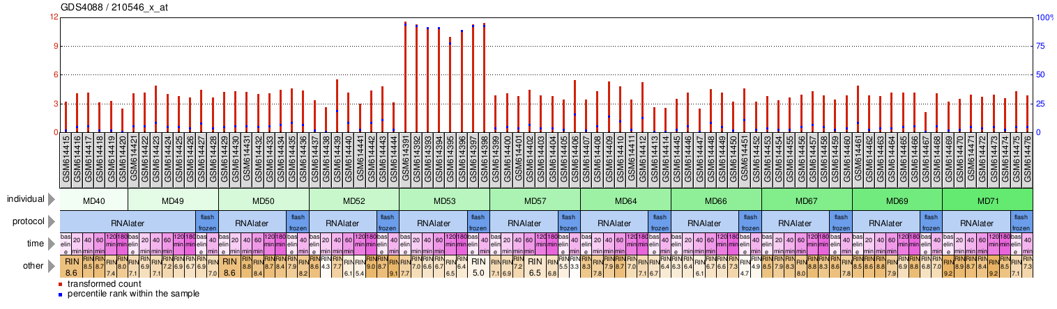 Gene Expression Profile