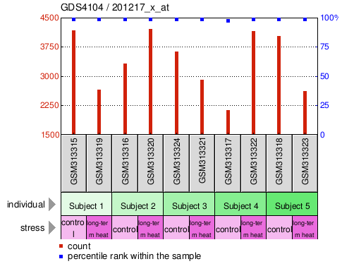 Gene Expression Profile