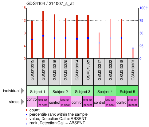 Gene Expression Profile