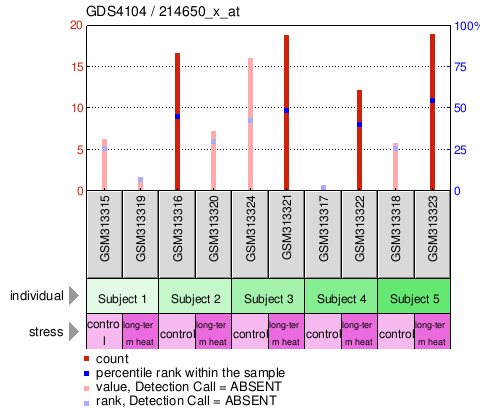 Gene Expression Profile