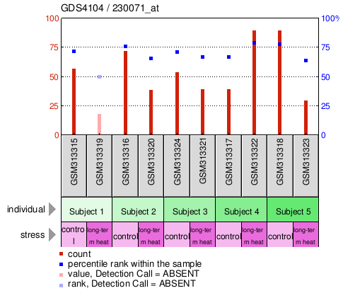 Gene Expression Profile