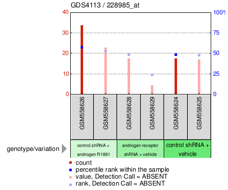 Gene Expression Profile