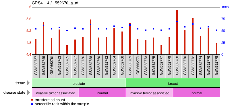 Gene Expression Profile