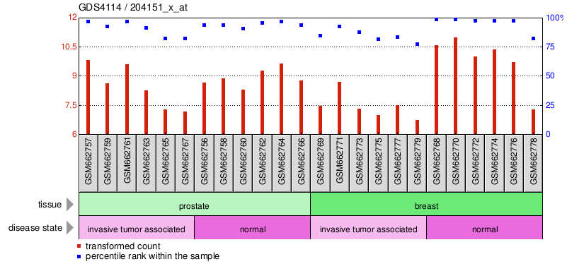 Gene Expression Profile