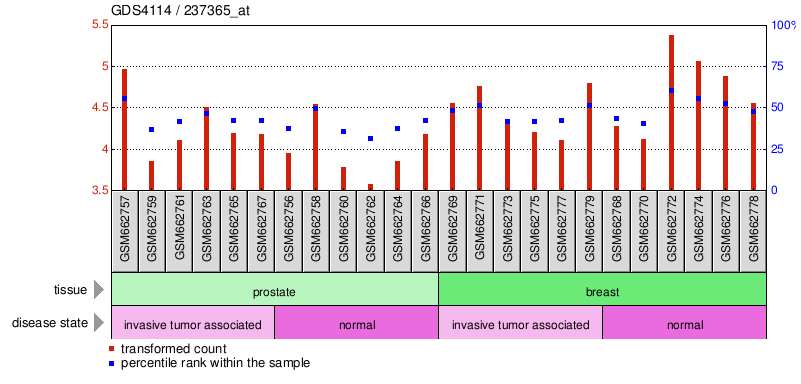 Gene Expression Profile