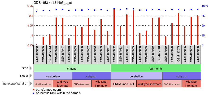 Gene Expression Profile